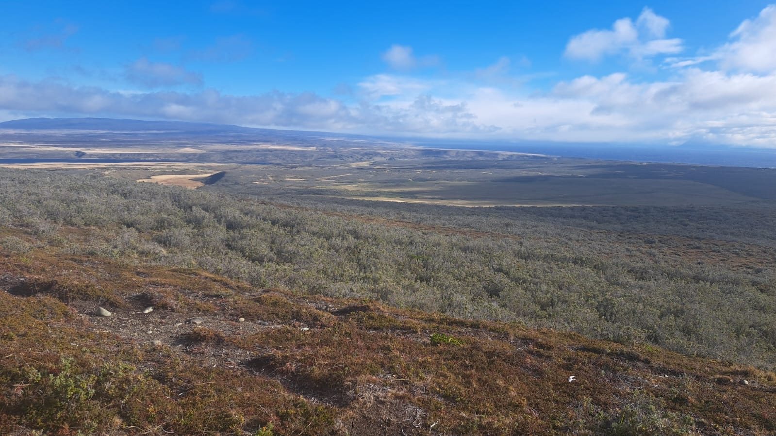 Vista panorámica de bosques y praderas, con agua en el horizonte
